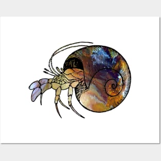 Hermit Crab Posters and Art